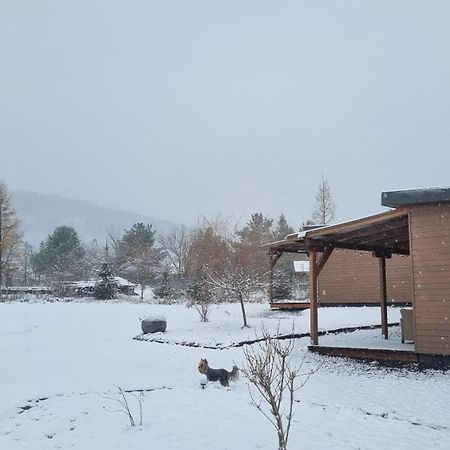Wellness Resort Szecseny Jigodin Bai Bagian luar foto